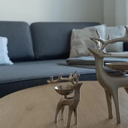 Kodikas Huoneisto, Oma Sauna, Ilmainen Pysaekoeinti