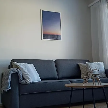 Kodikas Huoneisto, Oma Sauna, Ilmainen Pysaekoeinti *