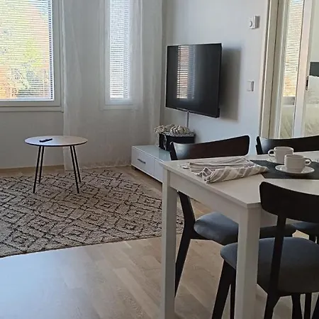 Kodikas Huoneisto, Oma Sauna, Ilmainen Pysaekoeinti Apartman *