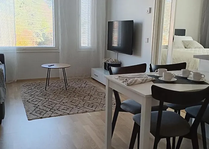 Kodikas Huoneisto, Oma Sauna, Ilmainen Pysaekoeinti Daire *